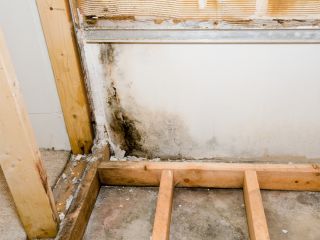 Identify Mold in Your Home and Deal with It, Hacienda Heights CA